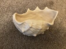 Mccoy sea shell for sale  Dallas