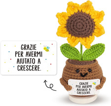 Positiva girasole italiano usato  Roma