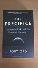 The precipice existential gebraucht kaufen  Augsburg