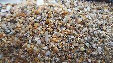 Strandsand sete stadtstrand gebraucht kaufen  Detmold