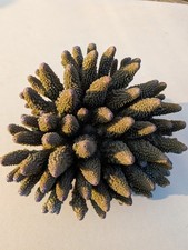 Heavy faux coral for sale  ALCESTER