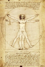 Leonardo vinci vitruvian for sale  Weimar