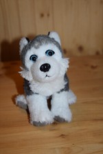 Wild republic husky gebraucht kaufen  Aichach