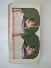Five stereoscope pictures for sale  Cassville