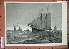 Old antique print for sale  UK