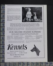 1929 animal dog for sale  Branch