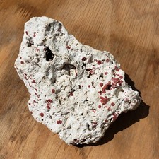 Natural caribbean red for sale  Orlando