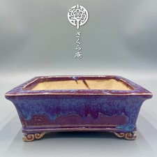 Pote japonês Bonsái "FUKUDA KEIUN" C:17cm 7,0 pol./L:5,7 pol./H:2,4 pol. do Japão #236 comprar usado  Enviando para Brazil