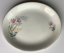 Vintage alfred meakin for sale  TIVERTON