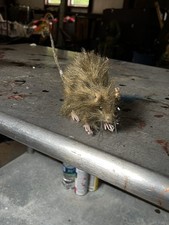 Taxidermy mouse standing for sale  Oneco