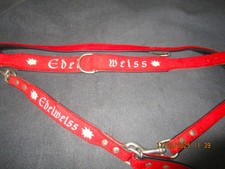 Schöne leine halsband gebraucht kaufen  Dinklage