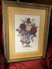 Gold frame print for sale  Rossville