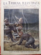 Tribuna illustrata febbraio usato  Enna