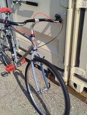 1991 specialized stumpjumper for sale  Dryden