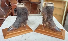 Anciens trophées chasse d'occasion  Les Essarts
