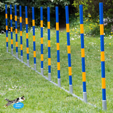 Agility slalom hunde gebraucht kaufen  München