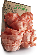 Set funghi biologici usato  Acate