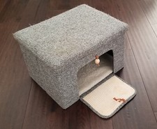 Pet house cat for sale  Corona