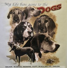 English walker bluetick for sale  Osceola