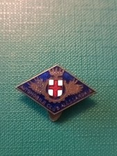 Regno raro distintivo usato  Zelo Buon Persico