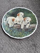 Royal albert bone for sale  CLEETHORPES