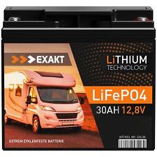 Lifepo4 30ah 12v gebraucht kaufen  Mannheim