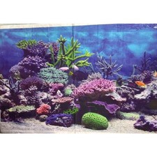 Underwater coral reef for sale  Saint Louis