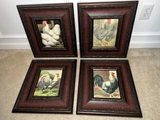 Cassell poultry framed for sale  Lawrenceville