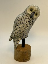 White snowy owl for sale  Muncie