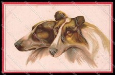 Illustratori artista firmato usato  Gambolo