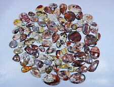 Natural Crazy Lace Agate Mix Forma Cabochão Pedra Preciosa solta Atacado Lote QJ459 comprar usado  Enviando para Brazil