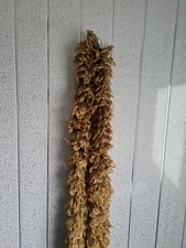 Mustard coloured scarf for sale  CANTERBURY