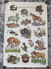 Smokey bear vintage for sale  Statesville