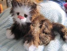 Kaycee bears nutmeg for sale  EXETER