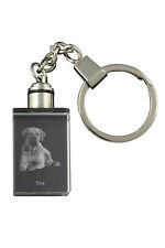 Tosa Inu , Tosa-Hund - Catena Chiave Di Cristallo Con Hundefoto, Illuminato na sprzedaż  PL