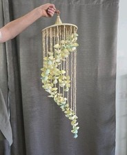 Vintage sea shell for sale  Great Falls