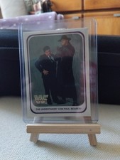 1991 merlin wwf usato  Sannazzaro de Burgondi