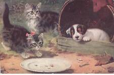 Chat 32381 chatons d'occasion  France