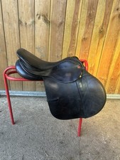 Albion legend jumping for sale  CAERNARFON