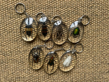 Real beetle bug for sale  CARNFORTH