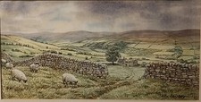Original watercolour swaledale for sale  BOURNE