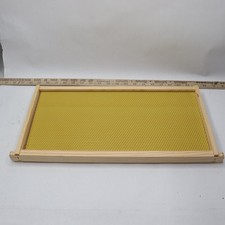 Deep brood beehive for sale Deep brood beehive for sale  Chillicothe
