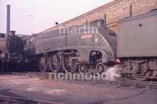 Kings cross shed for sale Kings cross shed for sale  BOW STREET