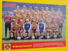 1987 borussia dortmund gebraucht kaufen  Magdeburg