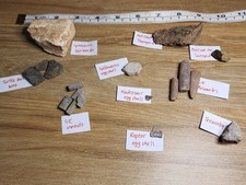 Superb fossil collection for sale  SOLIHULL