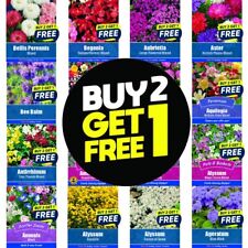 Flower seeds plants for sale  MANSFIELD