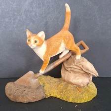 Sherratt simpson cats for sale  KEIGHLEY