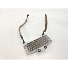 Radiatore olio hyosung usato  Villa Estense