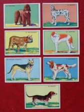 Sammelbilder hunde dogs gebraucht kaufen Sammelbilder hunde dogs gebraucht kaufen  Langenberg