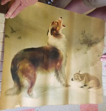 Vintage print found for sale  Stafford
